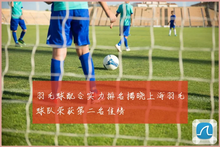 羽毛球配合实力排名揭晓上海羽毛球队荣获第二名佳绩