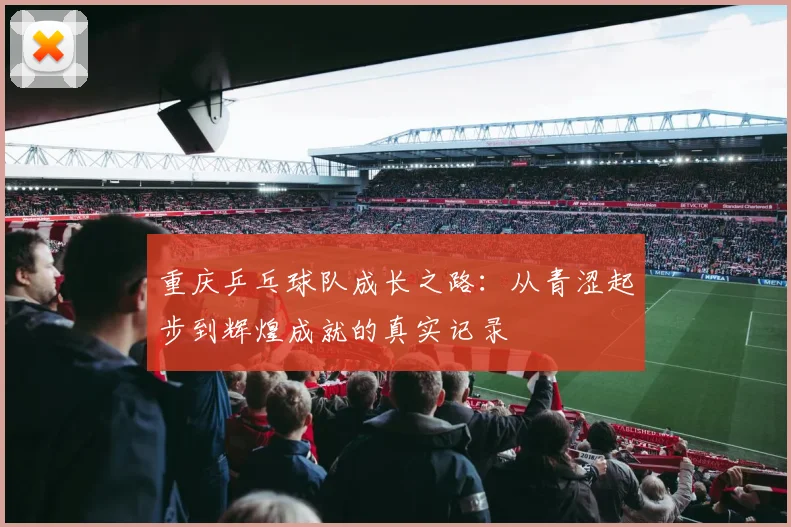 重庆乒乓球队成长之路：从青涩起步到辉煌成就的真实记录