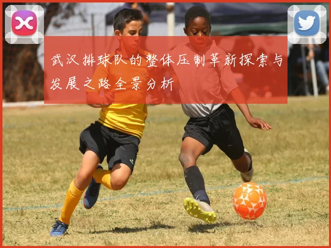 武汉排球队的整体压制革新探索与发展之路全景分析