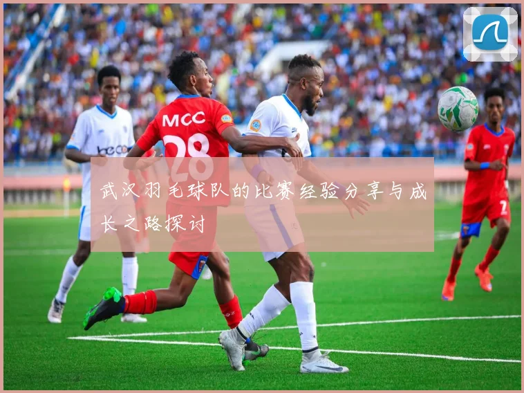 武汉羽毛球队的比赛经验分享与成长之路探讨