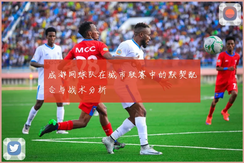 成都网球队在城市联赛中的默契配合与战术分析