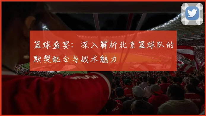 篮球盛宴：深入解析北京篮球队的默契配合与战术魅力