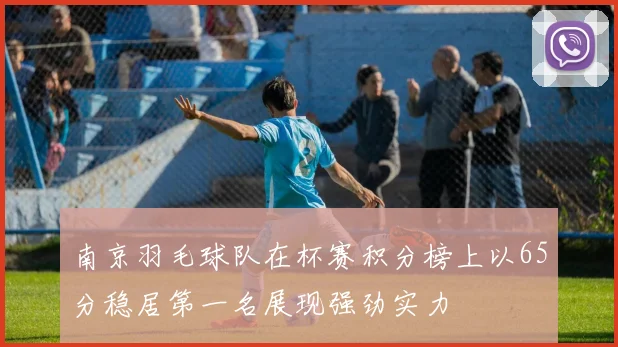 南京羽毛球队在杯赛积分榜上以65分稳居第一名展现强劲实力
