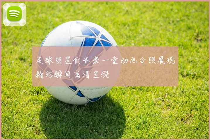 足球明星们齐聚一堂动画合照展现精彩瞬间高清呈现