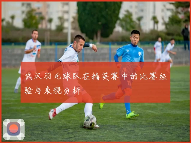 武汉羽毛球队在精英赛中的比赛经验与表现分析