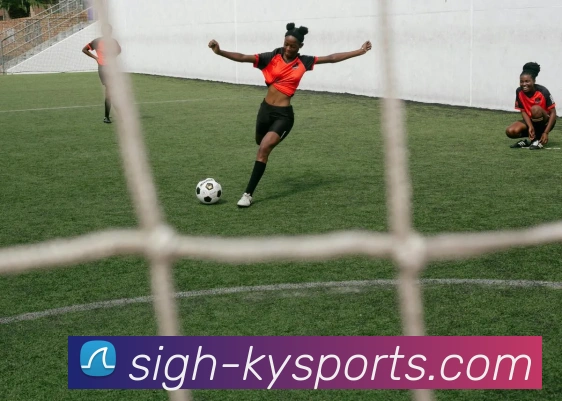 开云平台生态图